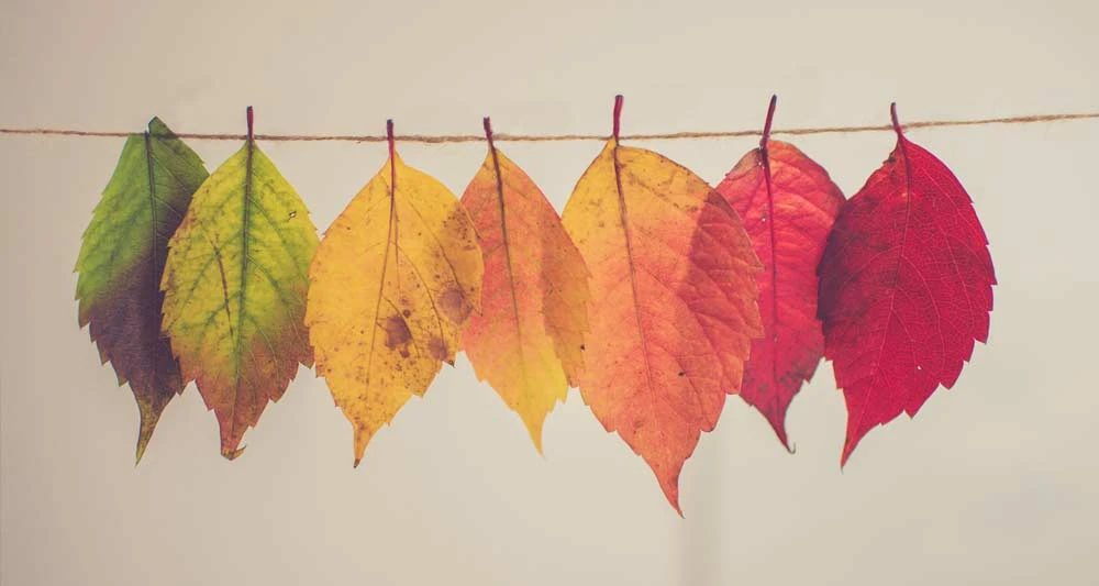 Confronting Life – Understanding The Season You’re In